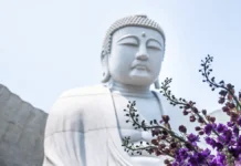 Ши Инь Лэ возглавил Шаолинь и развивает монастырь после отставки Ши Юн Синя shi in le vozglavil shaolin i razvivaet monastyr posle otstavki shi yun sinya-pux-su-0