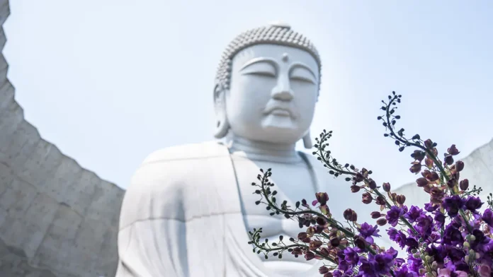 shi in le vozglavil shaolin i razvivaet monastyr posle otstavki shi yun sinya-pux-su-0