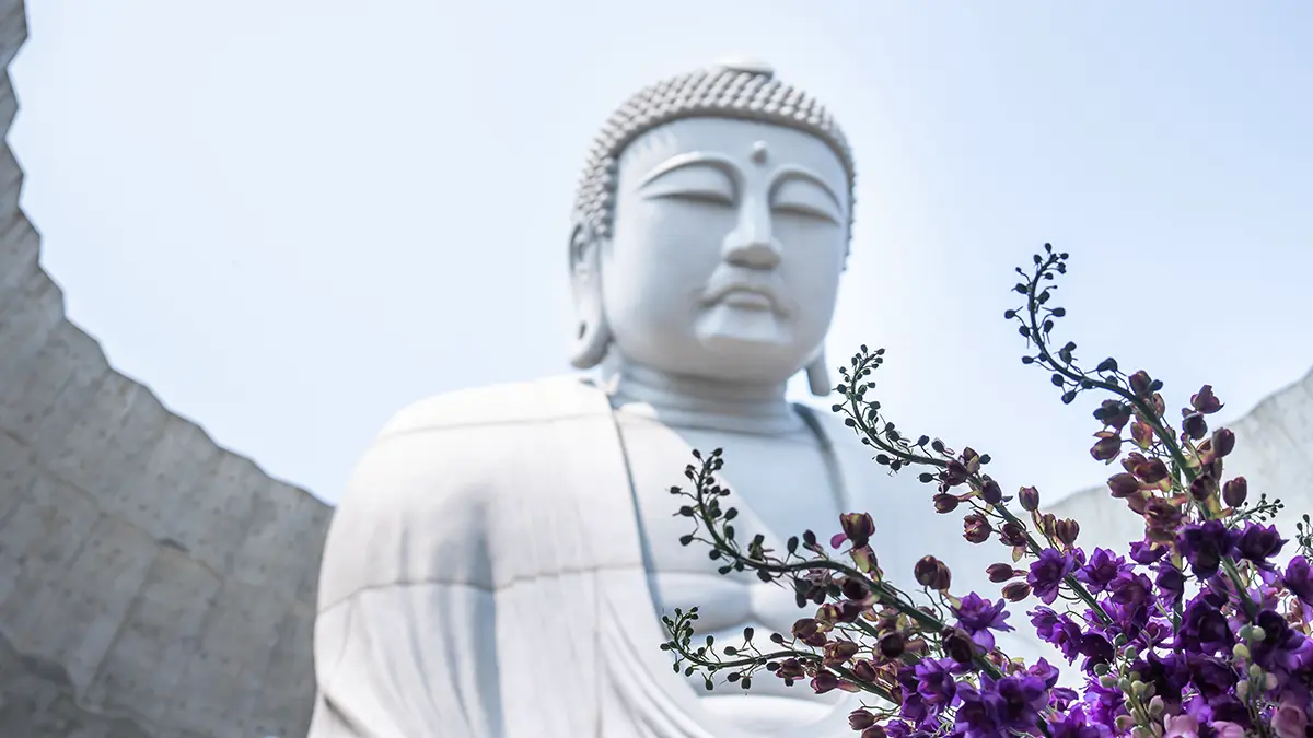 Настоятеля Шаолиня отстранили от должности за воровство и тайные романы