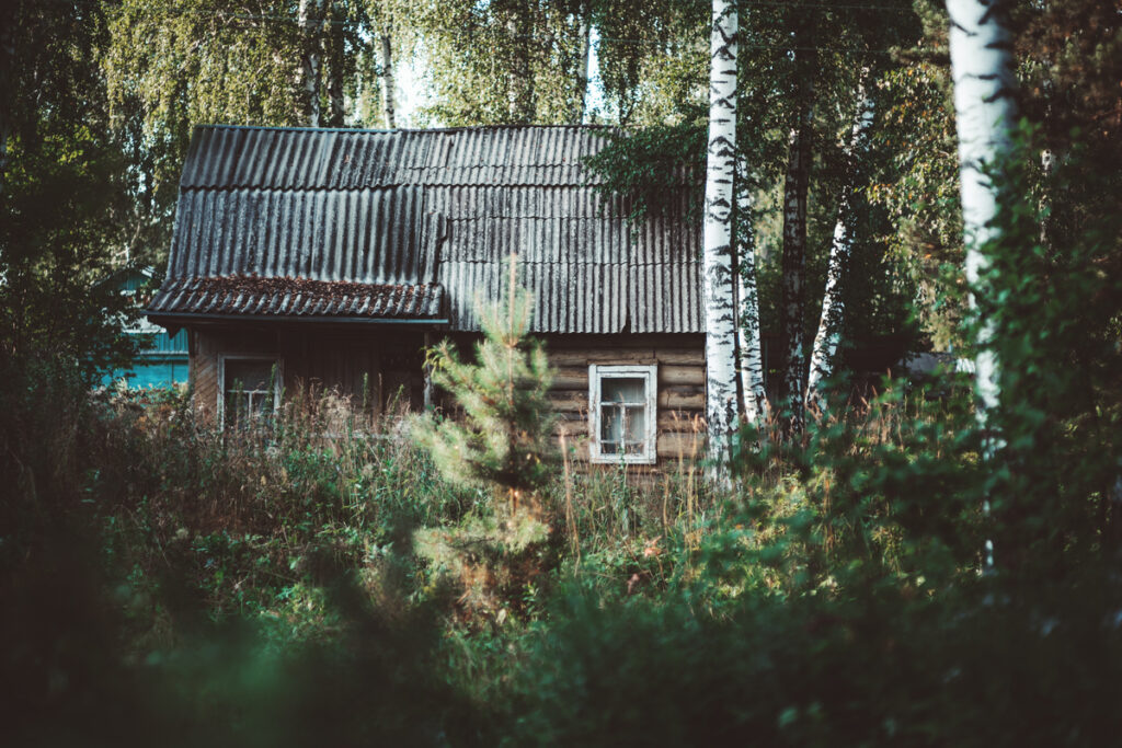 Старый деревянный дом в лесу