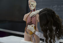 Какие секреты может скрывать ваше тело? a biology teacher explains to students anatomy and organs theme in microbiology