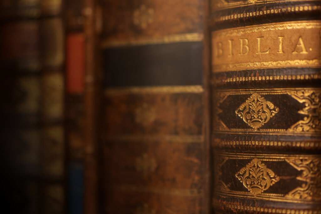 Винтажный книжный корешок Библии