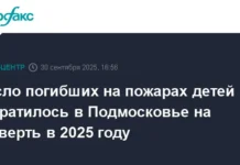 Александр Медведев из МЧС рассказал о снижении жертв среди детей на пожарах в Подмосковье в 2025 году aleksandr medvedev iz mchs rasskazal o snizhenii zhertv sredi detej na pozharah v podmoskove v 2025 godu-pux-su-0