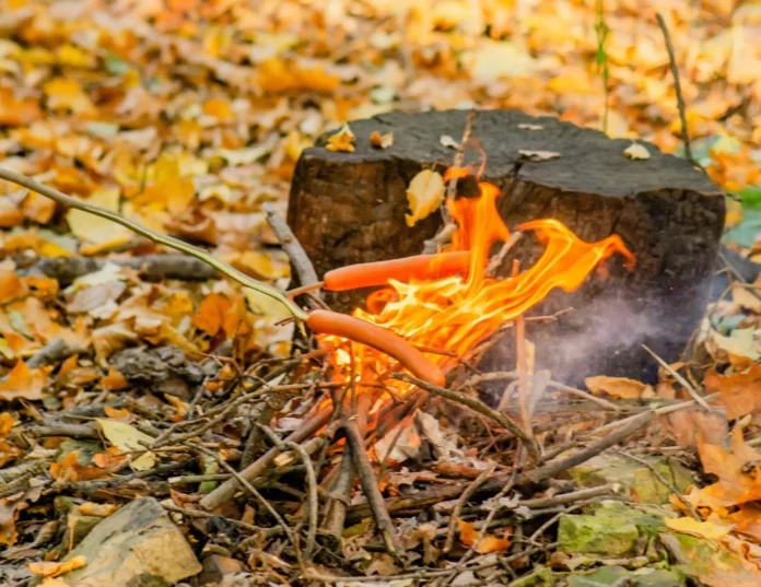 andrej dorohov obyasnil kak izbezhat pau i benzpirena pri kostrah-pux-su-0