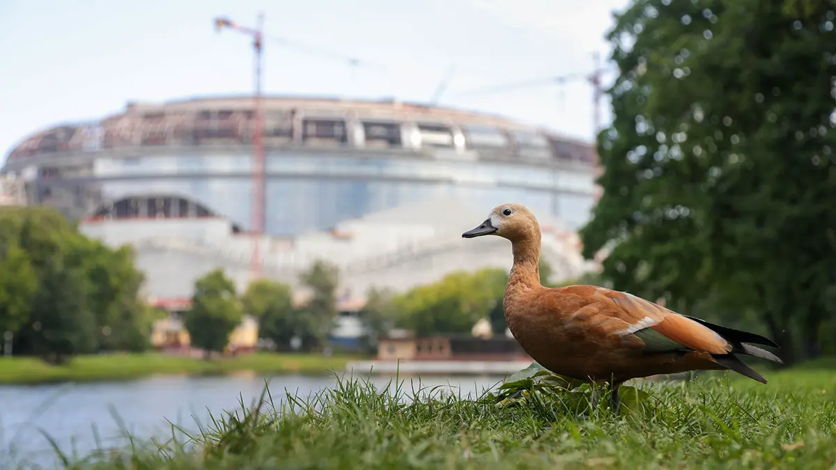 Почему важно отдыхать на природе