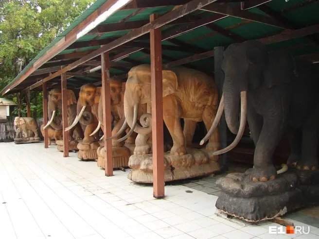 В Таиланде девушку из России похитили торговцы людьми. Ее обманули и увезли в рабство | Источник: Роман Данилкин / 63.RU