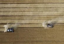 federalnyj status chs i podderzhka agrariev rostovskoj oblasti-pux-su-0