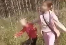 ГУ МВД Нижегородской области реагирует на инциденты с подростками, упоминая Марину и Лену gu mvd nizhegorodskoj oblasti reagiruet na inczidenty s podrostkami upominaya marinu i lenu-pux-su-0