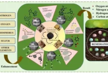 in chzhan i revolyucziya biouglya otkryvayut novyj put k chistym pochvam-pux-su-0