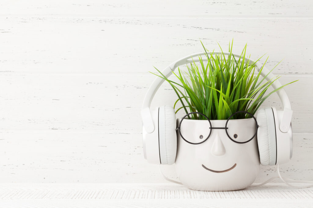 Наушники надеты на растение