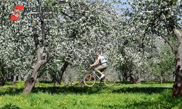 Определены лучшие парки Москвы по мнению Активного гражданина-0