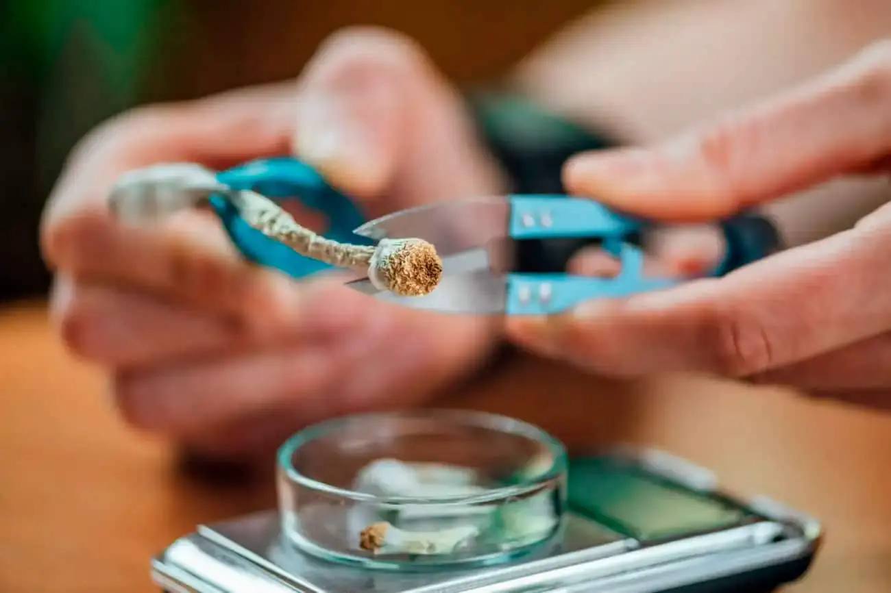 Псилоцибин и открытия Alex Kwan из Корнеллского университета в терапии депрессии-0