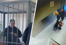 Суд в Подольске рассмотрел инцидент в «Пятерочке» с мужчиной и сыном покупательницы sud v podolske rassmotrel inczident v pyaterochke s muzhchinoj i synom pokupatelniczy-pux-su-0