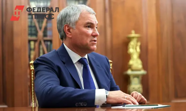 Вячеслав Володин сообщил о запуске экстренных мер для СВО и бизнеса с октября-0