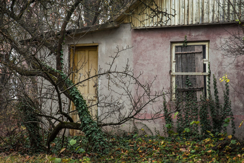 Заброшенное здание в лесу