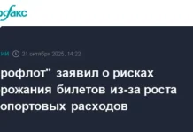 Аэрофлот и Совет Федерации рассматривают стабильные тарифы в условиях роста аэропортов aeroflot i sovet federaczii rassmatrivayut stabilnye tarify v usloviyah rosta aeroportov-pux-su-0