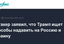 Алгоритм Трампа включает давление на Зеленского и НАТО ради мира algoritm trampa vklyuchaet davlenie na zelenskogo i nato radi mira-pux-su-0