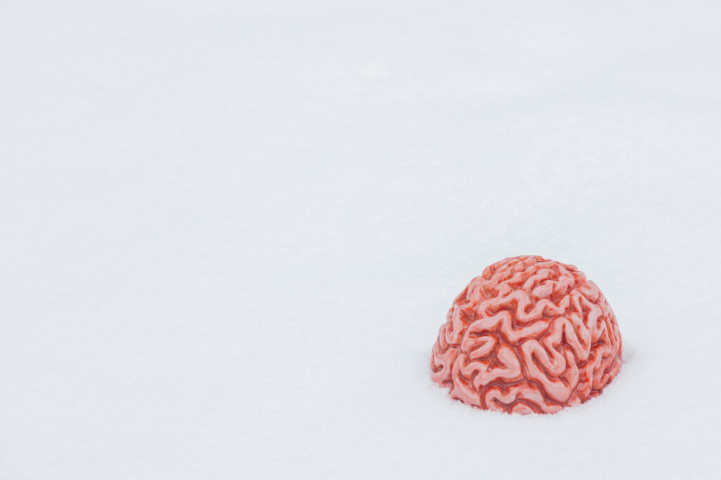 Человеческий мозг в снегу