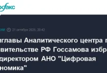 chulpan gossamova vozglavila ano czifrovaya ekonomika otkryvaya novyj etap-pux-su-0