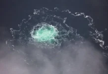 czenczkevich i tusk protiv ekstradiczii zhuravleva po delu o severnom potoke-pux-su-0