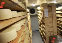 Достижения производителей кубанского региона и поддержка департамента потребительской сферы Краснодарского края dostizheniya proizvoditelej kubanskogo regiona i podderzhka departamenta potrebitelskoj sfery krasnodarskogo kraya-pux-su-0