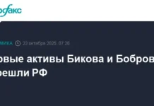 generalnaya prokuratura obespechila perehod aktivov bikova i bobrova k rf-pux-su-0