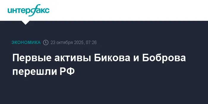 Генеральная прокуратура обеспечила переход активов Бикова и Боброва к РФ-0