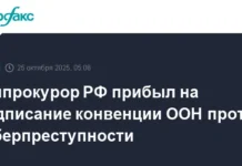 genprokuror rf podderzhal konvencziyu oon dlya effektivnoj borby s kiberprestupnostyu-pux-su-0