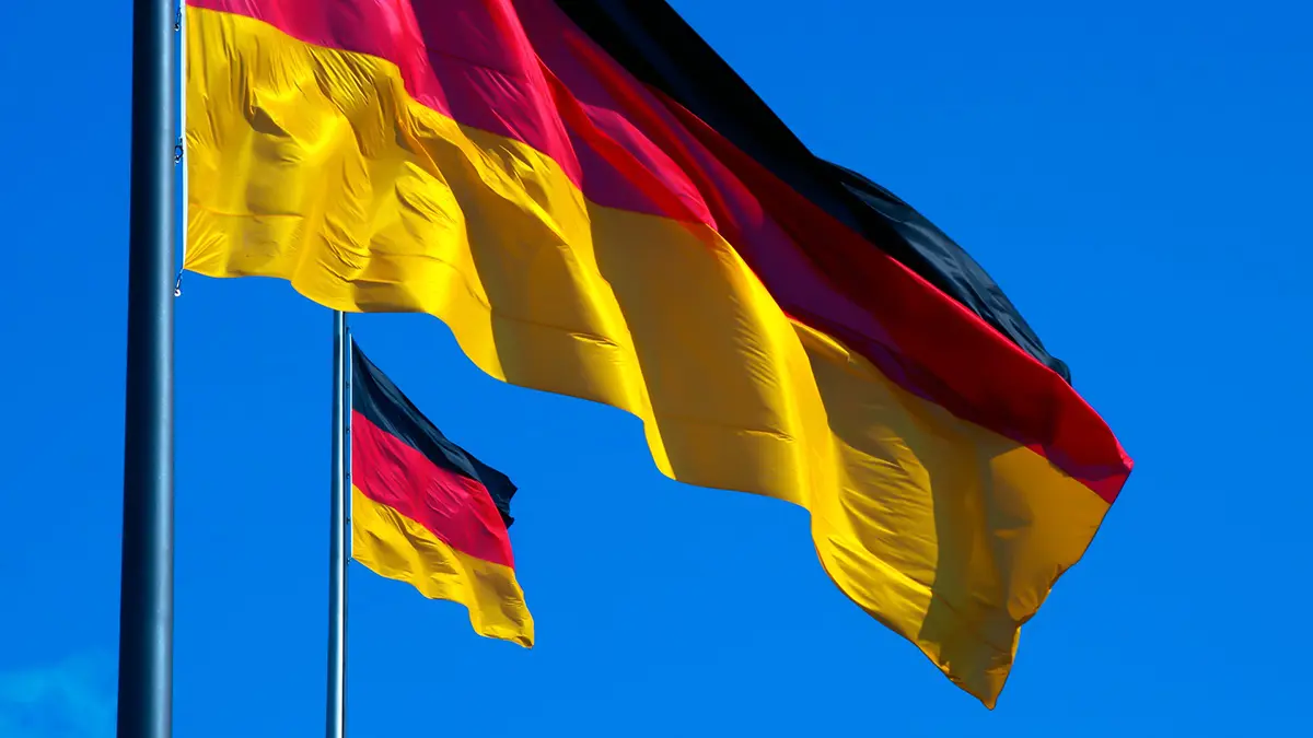 Германия отзывает посла из Грузии из-за разжигания ненависти против ЕС