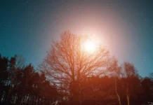 ИКИ РАН выяснил происхождение вспышки, связанной с астероидом 2025 US6 iki ran vyyasnil proishozhdenie vspyshki svyazannoj s asteroidom 2025 6-pux-su-0