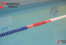 Интриги старта чемпионата Сибирского федерального округа по плаванию в Новосибирске и успех будущих звезд intrigi starta chempionata sibirskogo federalnogo okruga po plavaniyu v novosibirske i uspeh budushhih zvezd-pux-su-0