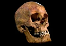 issledovanie universiteta bata raskryvaet tajny mikrobioma richarda -pux-su-0