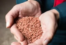 Леонид Холод объясняет последствия для ЕС от отказа Европы от российских удобрений leonid holod obyasnyaet posledstviya dlya es ot otkaza evropy ot rossijskih udobrenij-pux-su-0