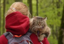 Михаил Шеляков и Григорий Балагуров делятся советами по уходу за питомцами осенью mihail shelyakov i grigorij balagurov delyatsya sovetami po uhodu za pitomczami osenyu-pux-su-0