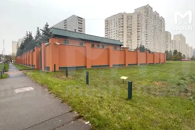 Вводная картинка