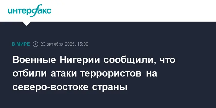 Нигерия успешно пресекла атаку террористов "Боко харам" — достижения армии-0