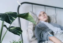 Новое открытие BRCA2 вдохновляет университета Нагои и Токийский университет novoe otkrytie 2 vdohnovlyaet universiteta nagoi i tokijskij universitet-pux-su-0