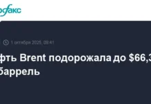 Оптимистичный рост Brent и WTI на фоне данных API и позиций ОПЕК+, анализ Сугандхи Сачдевы optimistichnyj rost i na fone dannyh i poziczij opek analiz sugandhi sachdevy-pux-su-0