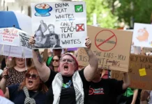 Оптимизм Ассоциации штатных медиков и Джудит Коллинз в Новой Зеландии optimizm assocziaczii shtatnyh medikov i dzhudit kollinz v novoj zelandii-pux-su-0