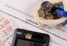 pavel krupnik predlagaet napravit materinskij kapital na detskij schyot-pux-su-0