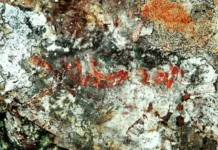 ПетрГУ обнаружил древние наскальные изображения у Тулгубы в Карелии petrgu obnaruzhil drevnie naskalnye izobrazheniya u tulguby v karelii-pux-su-0