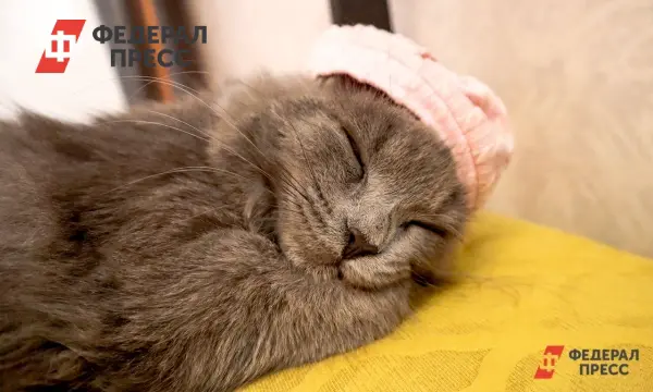 ПКК-Энерго восстановило магистраль после аварии в Полевской-0