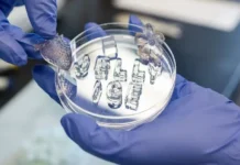 UC Davis представил инновационный желейный лёд для экологичного охлаждения predstavil innovaczionnyj zhelejnyj lyod dlya ekologichnogo ohlazhdeniya-pux-su-0