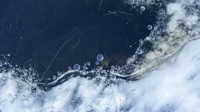 prognoz ledostava na reke ture v tyumenskoj oblasti ot czgms i mchs-pux-su-0