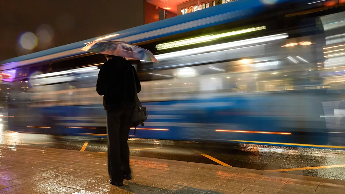 МЧС предупредило москвичей о дожде и сильном ветре до утра 26 октября