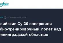 Российские Су-30 совершили учебно-тренировочный полет над Калининградской областью rossijskie su30 sovershili uchebnotrenirovochnyj polet nad kaliningradskoj oblastyu-pux-su-0
