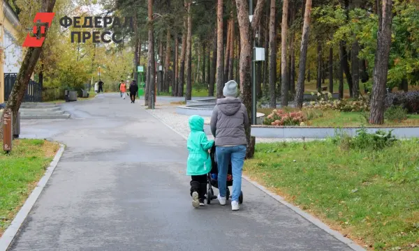 Татьяна Буцкая рассказала о планах Госдумы и Социального фонда РФ по поддержке семей до 2028 года-0