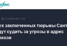 Тюрьма Санте и TikTok становятся центром событий вокруг Николя Саркози tyurma sante i stanovyatsya czentrom sobytij vokrug nikolya sarkozi-pux-su-0