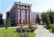 Ученые из Новосибирска, Виталий Кузнецов и НГТУ разработали композиты для электроники uchenye iz novosibirska vitalij kuzneczov i ngtu razrabotali kompozity dlya elektroniki-pux-su-0