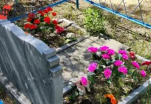 В Калининграде ищут решения для борьбы с вандализмом на кладбище v kaliningrade ishhut resheniya dlya borby s vandalizmom na kladbishhe-pux-su-0